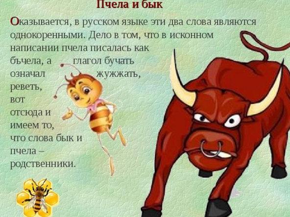 Корова Родила Чёрта